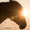 undefined Horse Medicine Leadership
