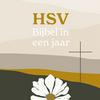 undefined HSV Bijbel in een jaar