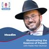 undefined Illuminating the Essence of Pesach