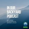 undefined In Our Backyard Podcast