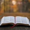 undefined KJV Bible Chronological Daily Reading