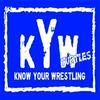 undefined Know Your Wrestling Turtles