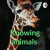 undefined Knowing animals
