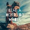 undefined Lead a Horse to Water