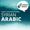 undefined Learn Arabic (Syrian) with LinguaBoost