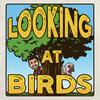 undefined Looking at Birds: A Birding Podcast