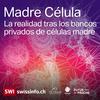 undefined Madre Célula