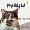 undefined Miauw, een podcast over katten