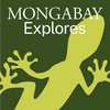 undefined Mongabay Explores