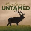 undefined Montana Untamed