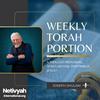 undefined Netivyah Intl - Weekly Torah Portion