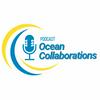 undefined Ocean Collaborations