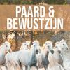 undefined Paard & Bewustzijn