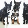 undefined Police dogs