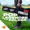 undefined Bruce Springsteen in Nederland - Poplegendes in de Polder
