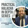 undefined Practical Halacha In Depth Series - Rabbi Moshe Levin