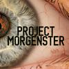 undefined Project Morgenster