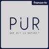 undefined PUR : Que dit la nature ?