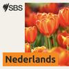 undefined SBS Dutch - SBS Nederlands