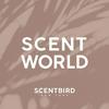 undefined Scent World