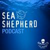 undefined Sea Shepherd Montréal Podcast