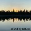 undefined Sound By Nature