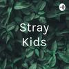 undefined Stray Kids