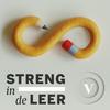 undefined Streng in de leer