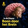 undefined In de Diepte: Baan door het Brein