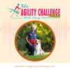 undefined The Agility Challenge Podcast With Daisy Peel