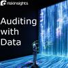 undefined Auditing with data: for Performance Auditors and Internal Auditors that use (or want to use) data