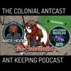undefined The Colonial AntCast