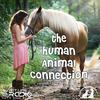undefined The Human-Animal Connection - Pet Life Radio Original