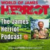 undefined The James Herriot Podcast from the World of James Herriot visitor attraction in Thirsk