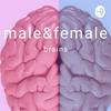 undefined The Tale Of Two Brains