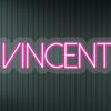 undefined The Vincent Ford Show