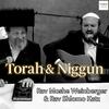 undefined Torah and Niggun with Rav Moshe Weinberger and Rav Shlomo Katz