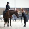 undefined De "goed bekeken" paardenpodcast door Bianka Farkas en Celine van der Stroom