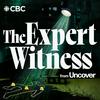 undefined The Expert Witness from Uncover