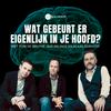 undefined Wat gebeurt er eigenlijk in je hoofd?