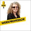 undefined Werkprofessor | BNR