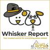 undefined Whisker Report - Pet PR & Publicity - Pet Life Radio Original