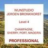 undefined Wijn Professional – WSET level 4