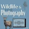 undefined Wildlife and Photography