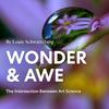 undefined Wonder And Awe
