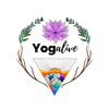 undefined Yoga Live