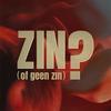 undefined ZIN (of geen Zin)?
