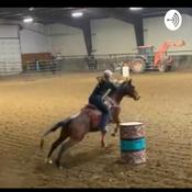 Podcast 4R Performance Horses