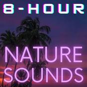 Podcast 8 Hour Nature Sounds