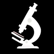 Podcast About DNA